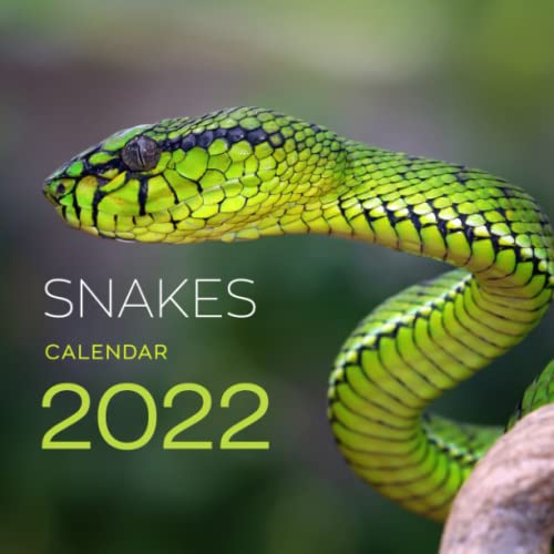 Snakes calendar 2022 Original snake calendar 🐍 9798778802391