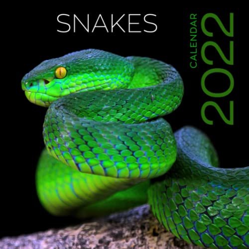 Snakes calendar 2022 Original snake calendar 🐍 9798778801172